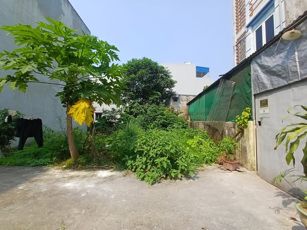 CHÍNH CHỦ BÁN LÔ ĐẤT 49,9M TẠI BIÊN GIANG-HYAF ĐÔNG-HÀ NỘI - Ảnh chính